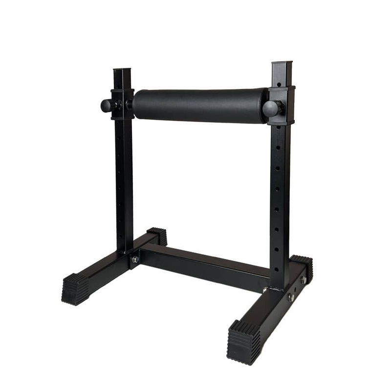 Adjustable Single Leg Squat St - огляд і ціна Home Gym Design